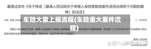 车险大案上报流程(车险重大案件流程)