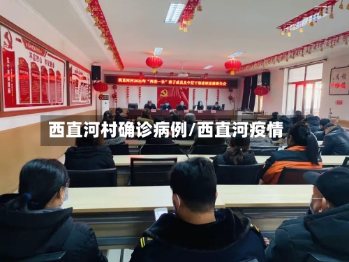 西直河村确诊病例/西直河疫情-第3张图片