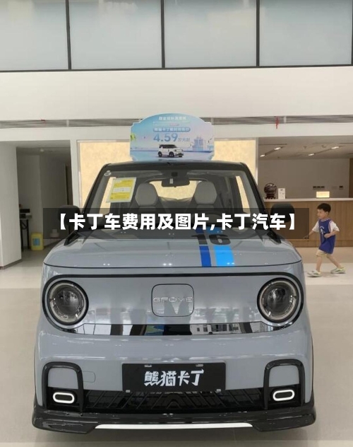 【卡丁车费用及图片,卡丁汽车】-第2张图片