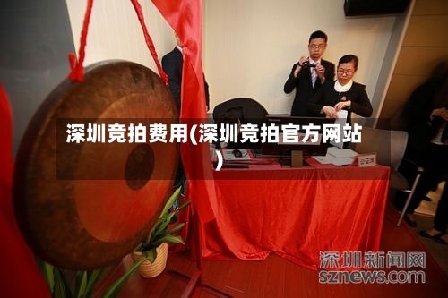 深圳竞拍费用(深圳竞拍官方网站)