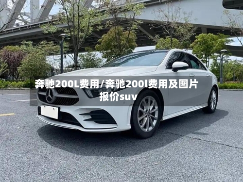 奔驰200L费用/奔驰200l费用及图片报价suv-第2张图片
