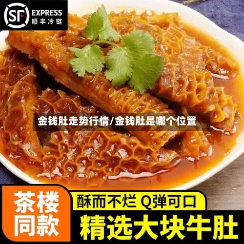 金钱肚走势行情/金钱肚是哪个位置