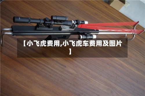 【小飞虎费用,小飞虎车费用及图片】-第2张图片