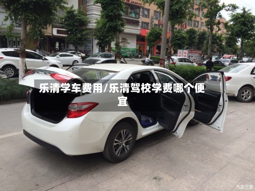 乐清学车费用/乐清驾校学费哪个便宜-第3张图片