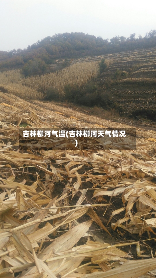 吉林柳河气温(吉林柳河天气情况)