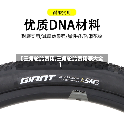 【三角轮胎费用,三角轮胎费用表大全】-第2张图片