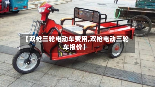 【双枪三轮电动车费用,双枪电动三轮车报价】