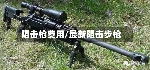 阻击枪费用/最新阻击步枪