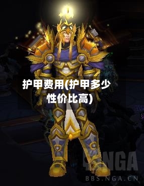 护甲费用(护甲多少性价比高)-第2张图片