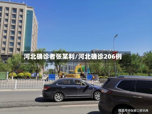 河北确诊者张某利/河北确诊206例