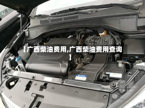 【广西柴油费用,广西柴油费用查询】