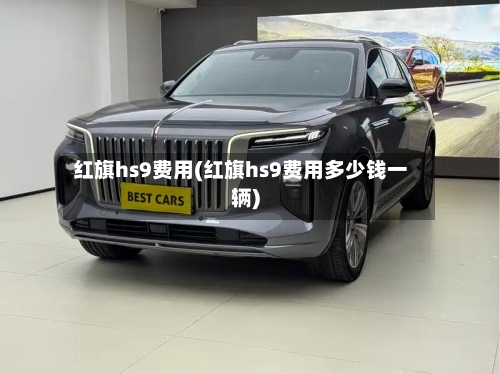红旗hs9费用(红旗hs9费用多少钱一辆)-第3张图片