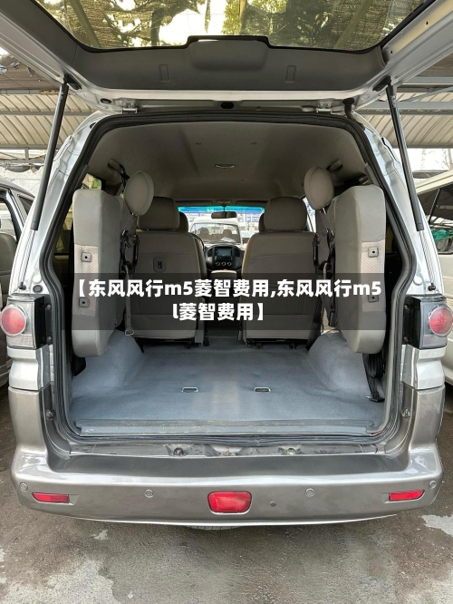 【东风风行m5菱智费用,东风风行m5l菱智费用】-第2张图片