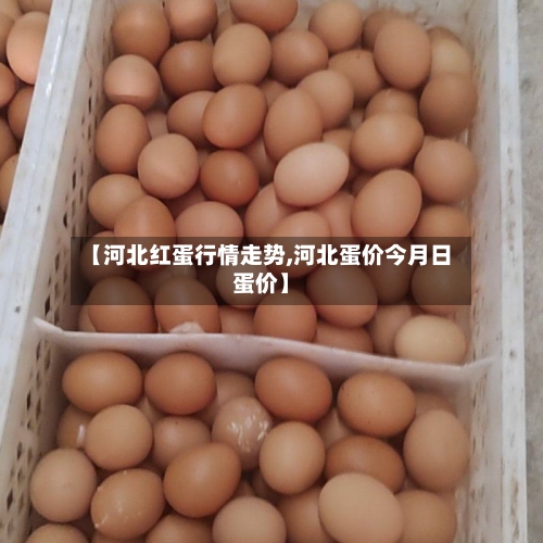 【河北红蛋行情走势,河北蛋价今月日蛋价】