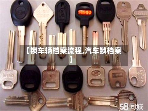 【锁车辆档案流程,汽车锁档案】