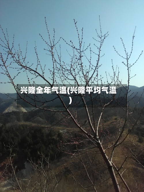 兴隆全年气温(兴隆平均气温)