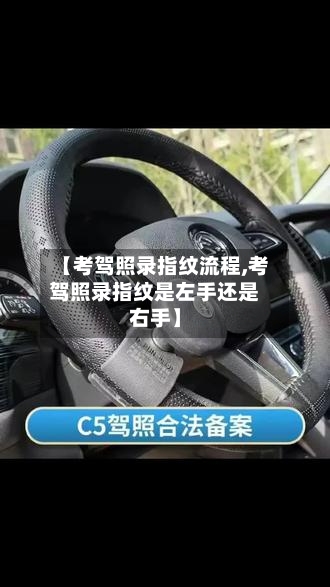 【考驾照录指纹流程,考驾照录指纹是左手还是右手】-第2张图片