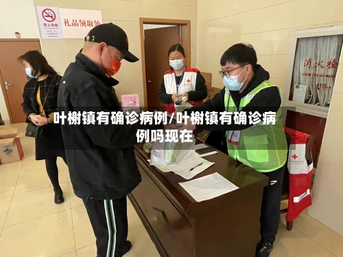 叶榭镇有确诊病例/叶榭镇有确诊病例吗现在-第3张图片