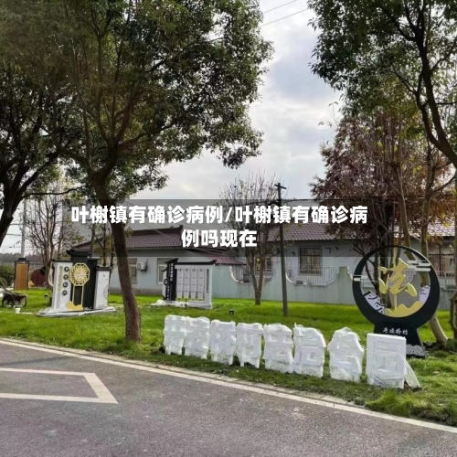 叶榭镇有确诊病例/叶榭镇有确诊病例吗现在-第2张图片