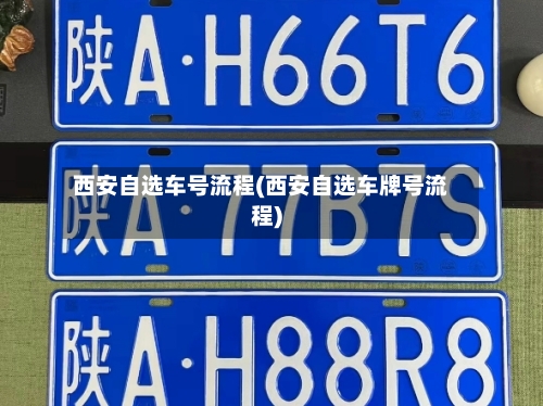 西安自选车号流程(西安自选车牌号流程)-第2张图片